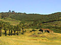 bei las hayas