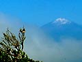 teide