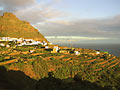 agulo