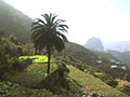 bei vallehermoso