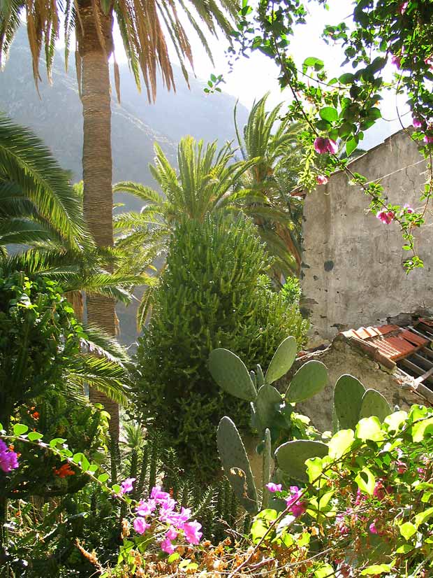 blick aus dem fenster