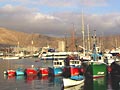 hafen von los cristianos