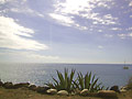 meer