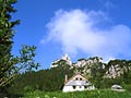 probstalm