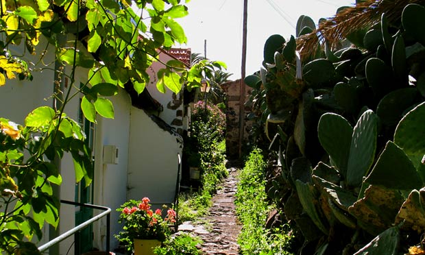 el guro